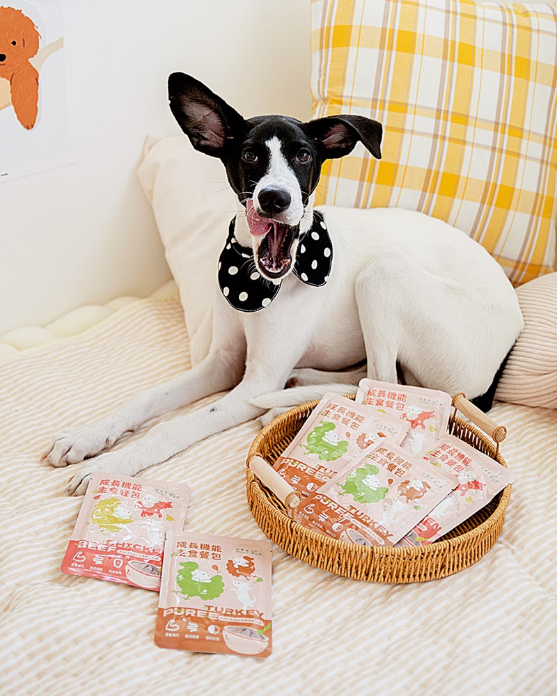 女人知己試用大隊,口碑行銷,部落客行銷,自然食 成長機能主食餐包,自然食,成長機能狗狗主食餐包,成長機能貓咪主食餐包,滿足毛孩最單純的幸福,人食等級食材,開封即食,綿密的肉泥狀質地,好吸收,無膠類,無色素,無防腐劑的添,維持腸道健康,添加DHA/靈芝多醣體,使用高優質蛋白,適口性佳,狗狗口味,犬用營養火雞,犬用嫩雞牛肉,貓咪口味,貓用營養嫩雞,貓用嫩雞鮪魚